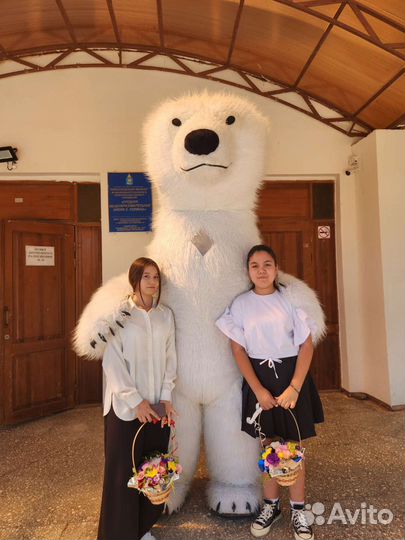 Белый мишка поздравление