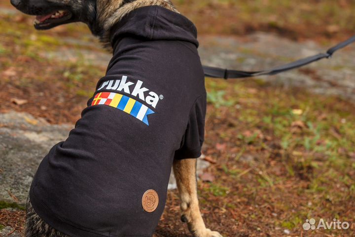 Толстовка для собаки rukka size 55