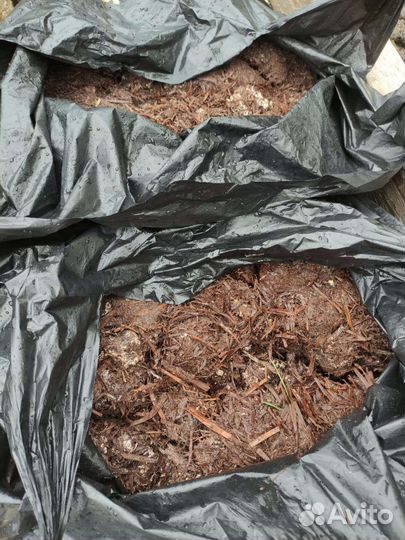 Компост из под шампиньонов, удобрение, мульча