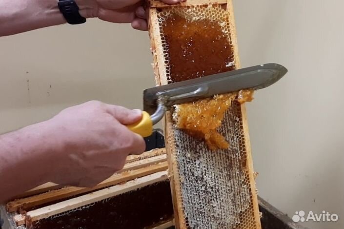 Мед натуральный опт