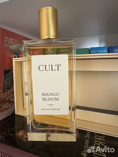 Mango bloom Cult