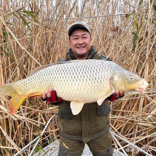 Рыбалка Астрахань Камызяк Тур Все включено
