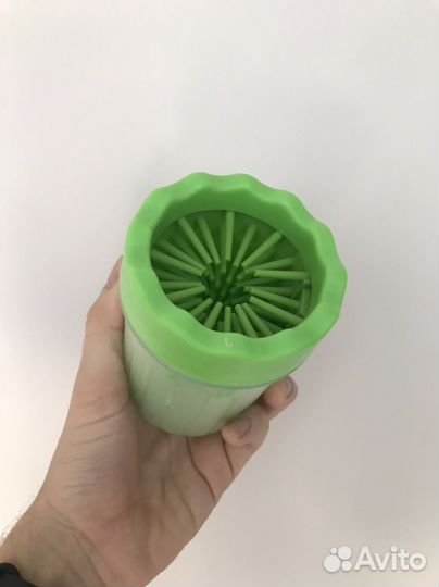 Лапомойка зелёная
