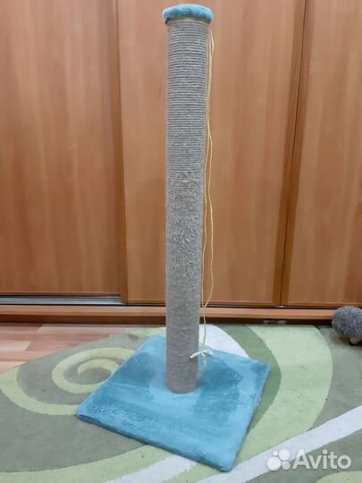 Лотки для котиков б/у