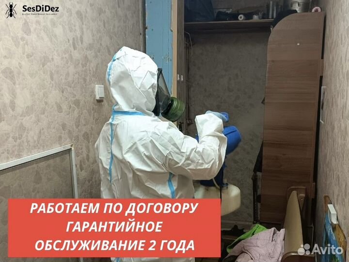 Уничтожение насекомых, обработка от клещей