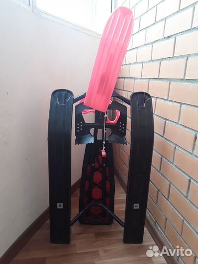 Аргомак детский