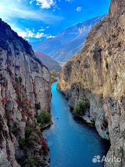 Гид экскурсовод