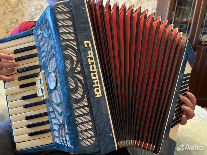 Аккордеон Юность 3