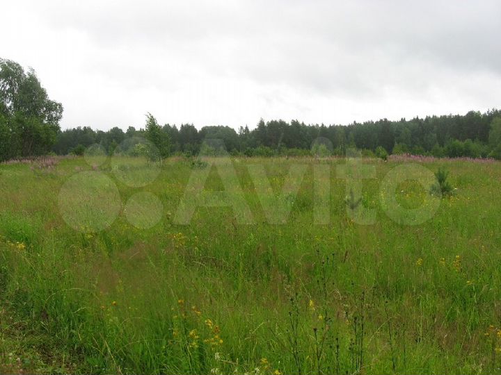 Участок 4,84 га (СНТ, ДНП)
