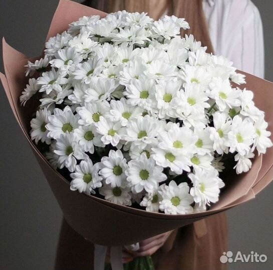 Хризантема Доставка цветов