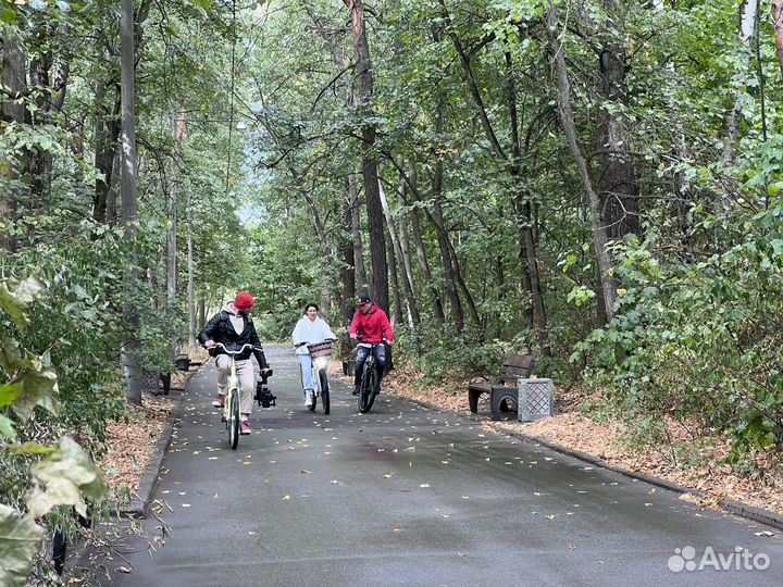 Сьемка видео / видеомонтаж