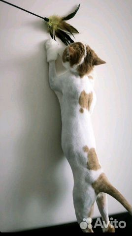 Стрижка кошек и собак. Грумер. Только выезд на дом