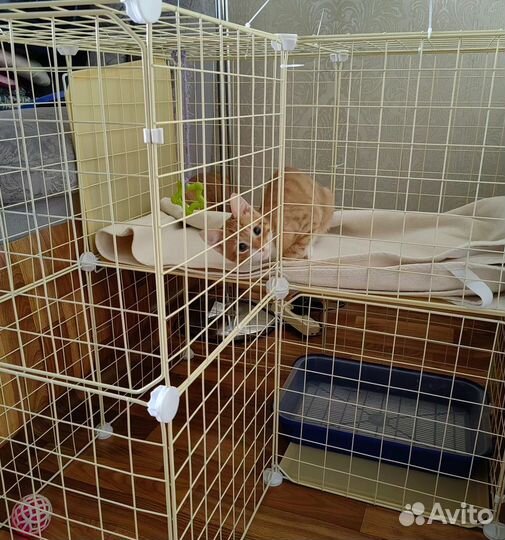 Клетка для кролика большая