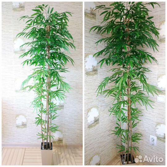 Дерево искусственное бамбук, манго