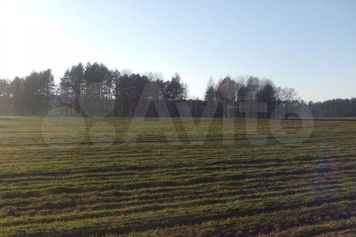 Участок 55 сот. (ИЖС)