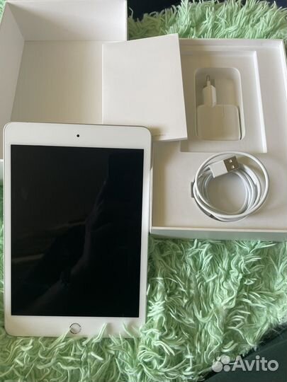 iPad mini 256gb