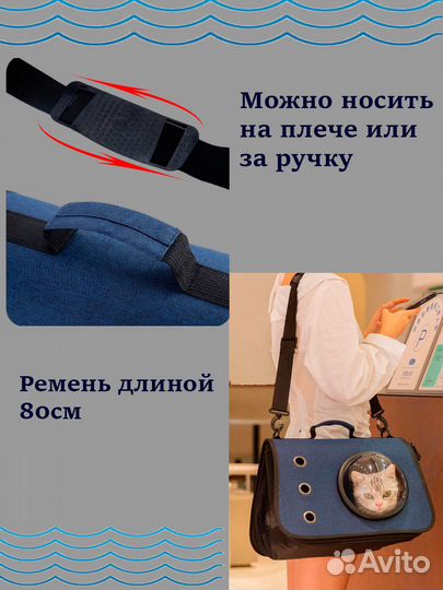 Переноска для кошек новая