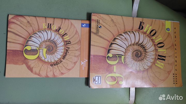 Учебники за 5 класс