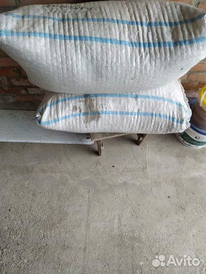 Семена тыквы