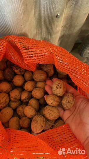 Грецкий орех