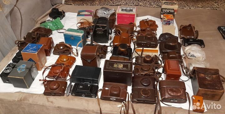 Коллекция фотоаппаратов