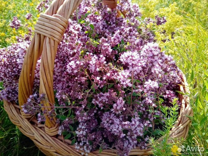 Аромасаше с лавандой и др. травами шалфей чабрец