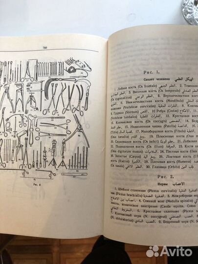 Словарь русско-латино-арабский медицинский словарь