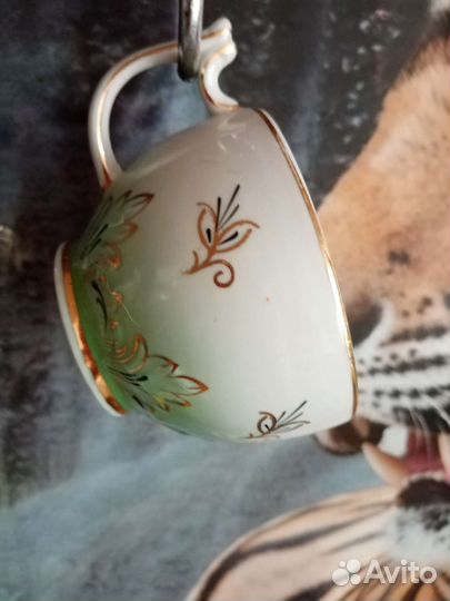 Чайная пара Барбарис зелёный Вербилки