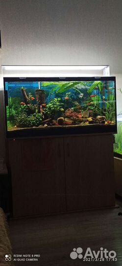 Аквариум