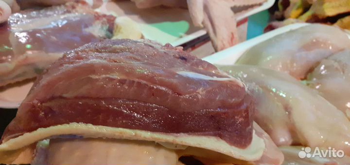 Домашняя, мясная, утка 2024 г круглый год