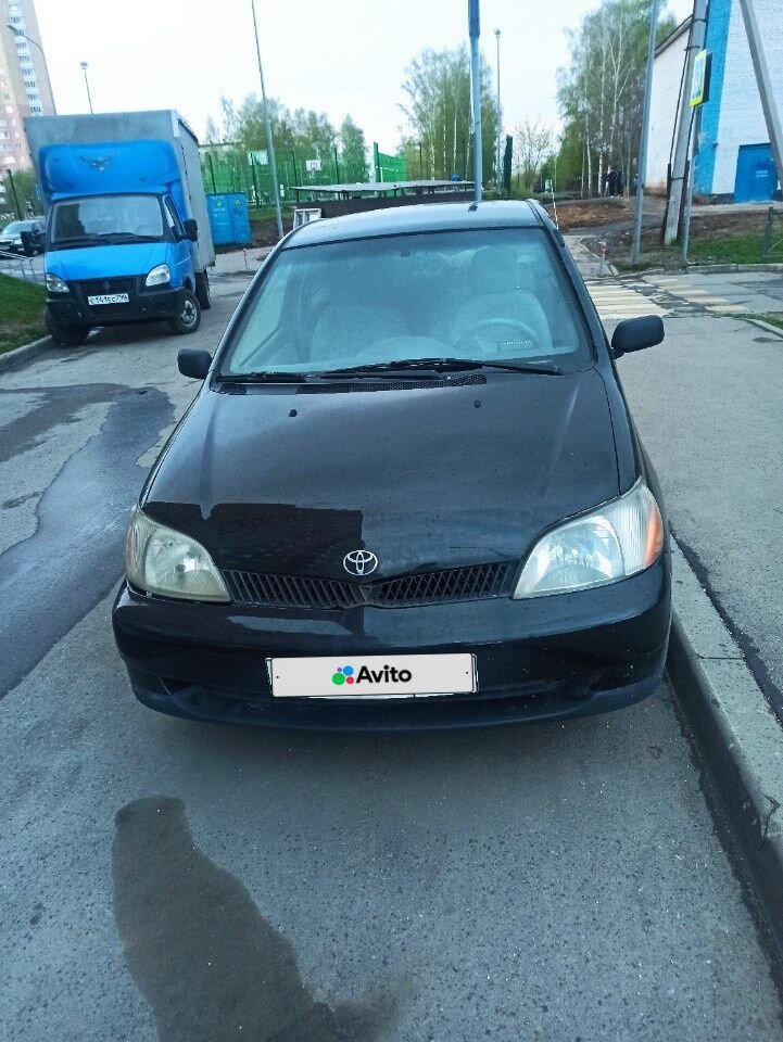 Toyota Echo: фото из отзыва
