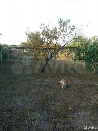 Участок 11 сот. (ИЖС)