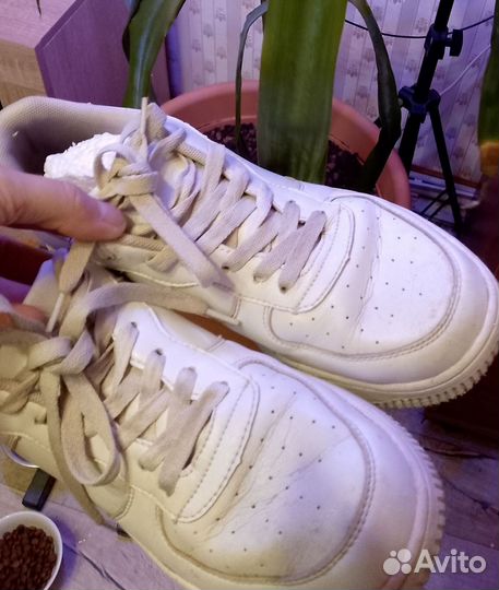 Кеды кроссовки Tom.Farr