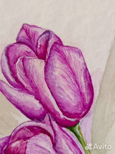Картина акварель цветы Тюльпаны