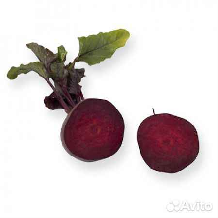 Семена Свёклы 