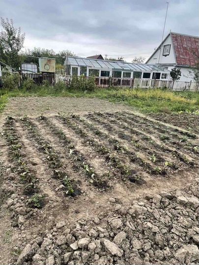 Участок 6 сот. (СНТ, ДНП)