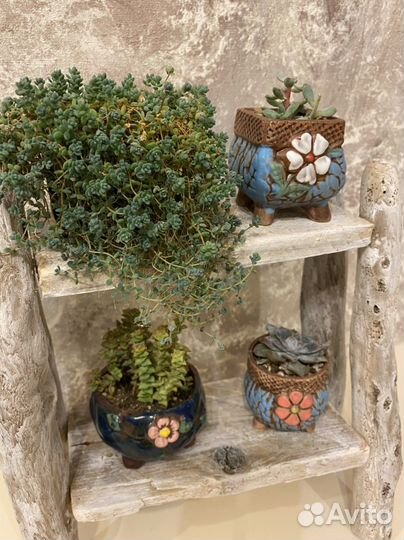 Мини этажерка с суккулентами