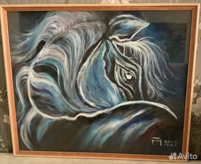 Конь посреди ночи