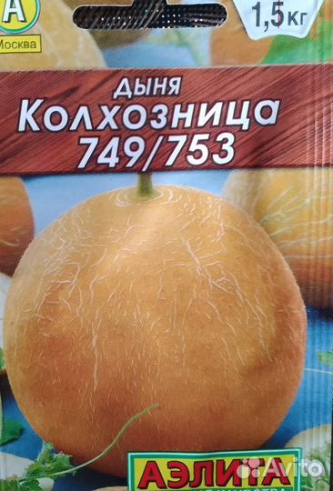 Рассада дынь