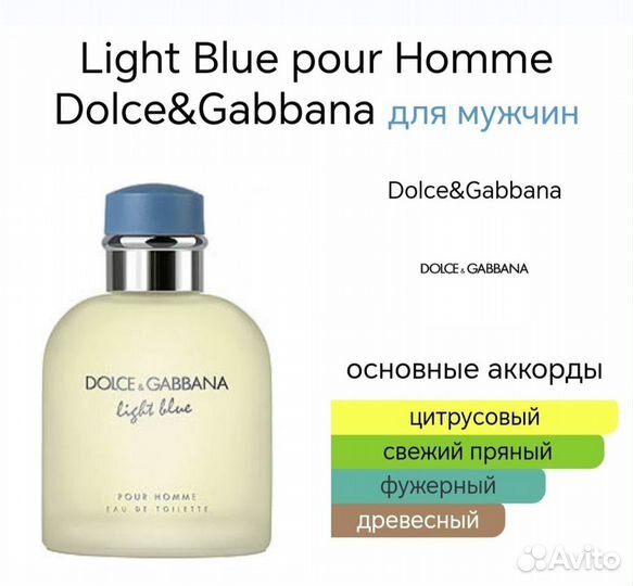 Dolce Gabbana light blue pour homme