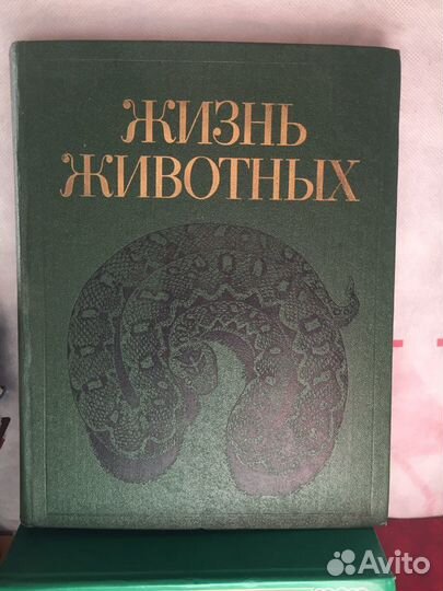 Книги жизнь животных