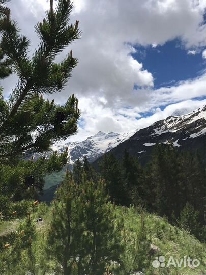 Экскурсия одного дня