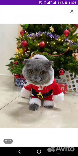 Новогодний костюм для кошки или собаки