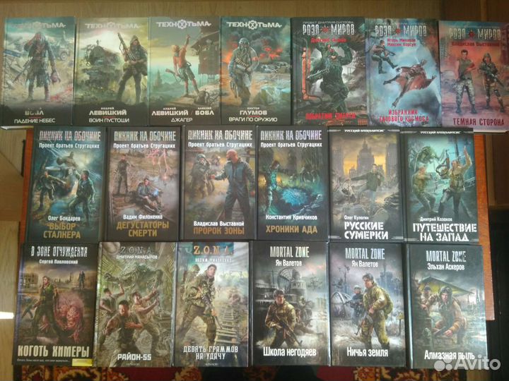 Серия Технотьма, пикник на обочине, зона смерти