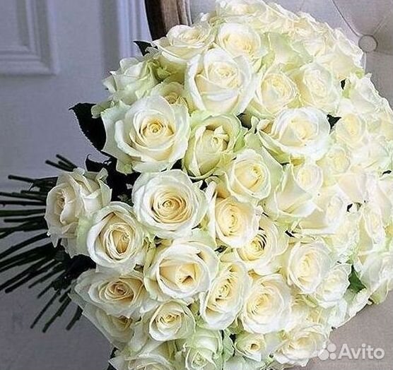 Высокие розы Гигантские розы Доставка цветов