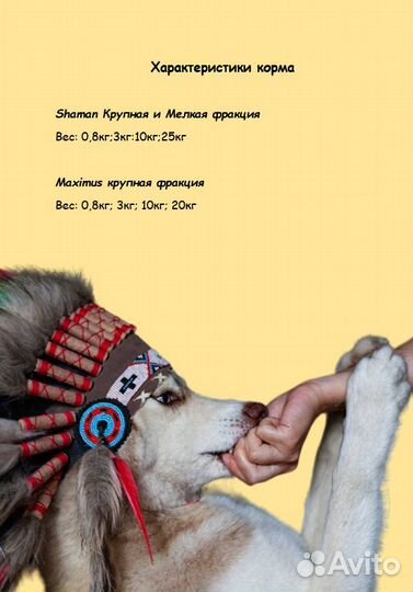 Сухой корм для собак крупных и мелких пород