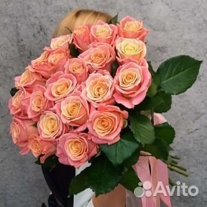 Букет роз 25 штук