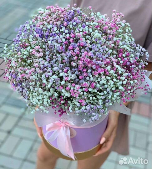 Гипсофила цветы с доставкой