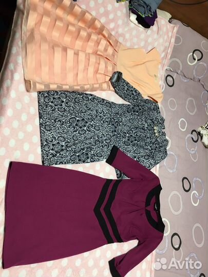 Женская одежда