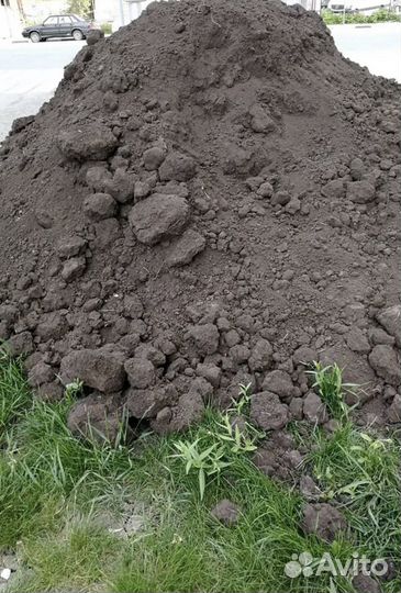 Приму грунт